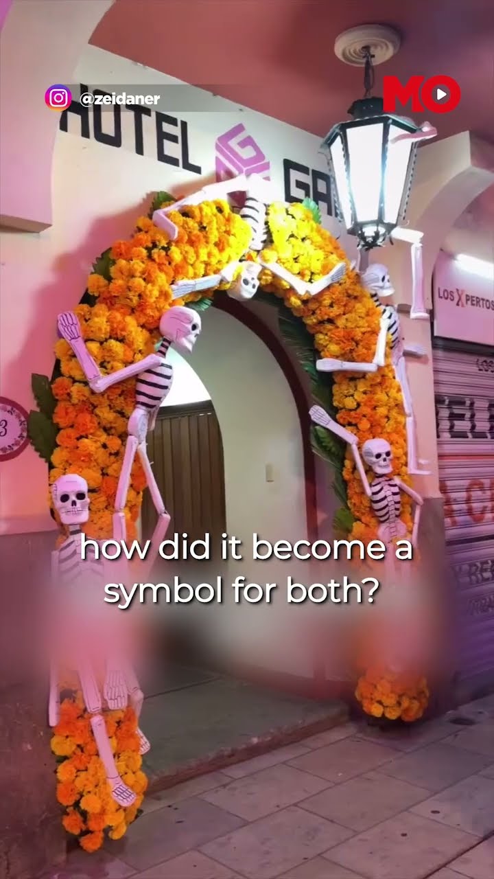 India \u0026 Mexico’s Shared Love for Marigolds—Here’s Why