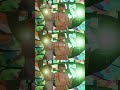 「きっと一生忘れない」 #畑芽育 #山下幸輝 #杢代和人 #齊藤なぎさ #志田こはく #菊地姫奈 #みとゆな #最高の生徒 #3年C組 #最高の教師 #3年D組