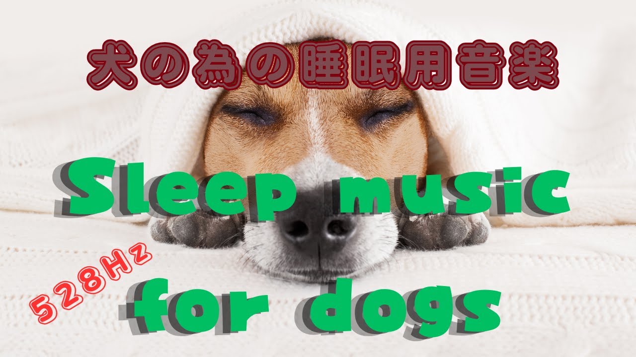 「犬の為の睡眠用音楽」528ヘルツ - YouTube