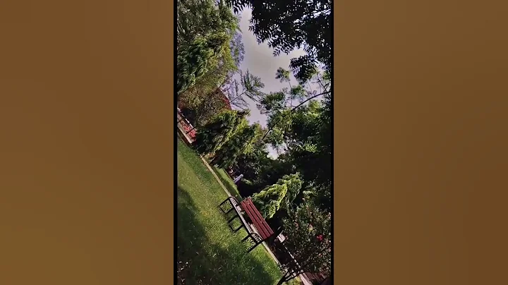 BZU university short tour#bzumultan