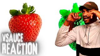 Army Veteran Reacts to- Vsauce: Is Your Red the same as My Red. Is Your Red The Same As My Red Reaction