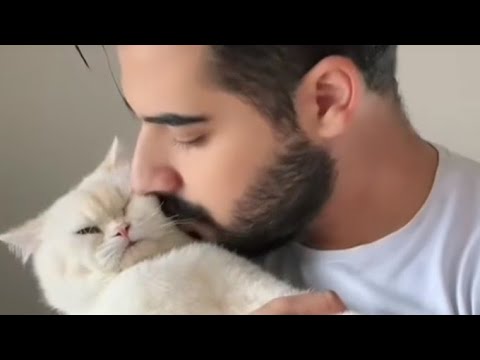 الزروالي كيطلب يرغب لتنازل نور زينو واخرون