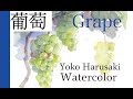 水彩画　Harusaki Yoko［Grape］How to draw watercolor　葡萄の描き方　春崎陽子