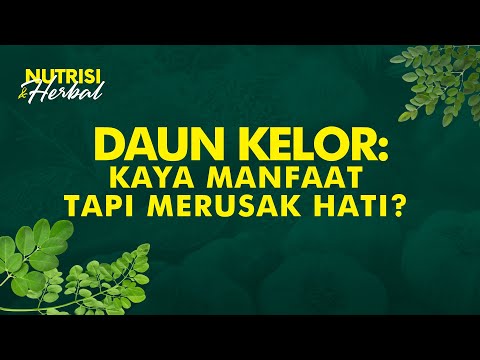 Manfaat Daun Kelor Untuk Diabetes