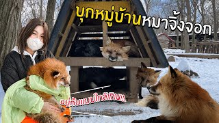 บุกหมู่บ้านหมาจิ้งจอก!!!  | Soomnyvivii Ch