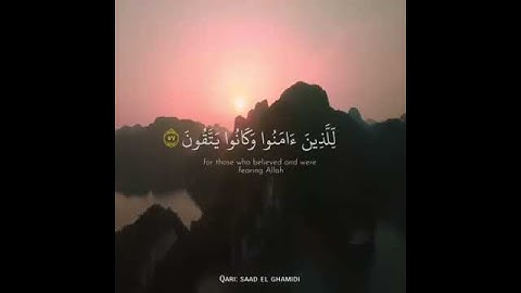سورة يوسف القارئ سعد الغامدي