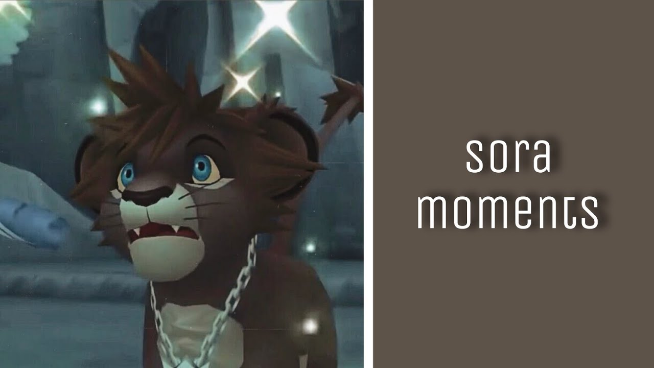 Sora (Lion) moments