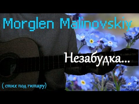 Минус песни незабудка. Стихи про незабудки. Незабудка под гитару. Стихи про незабудки короткие. Стих Незабудка Лермонтова.