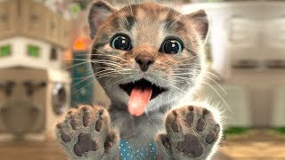 Gatos Aventuras - Lindo Juego De Cuidado De Mascotas - Educativo Dibujos Animados Infantiles screenshot 5