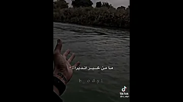 مهرجان صدفه بلا ميعاد 