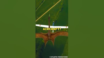 The Largest Flying Animal Ever Discovered: Quetzalcoatlus