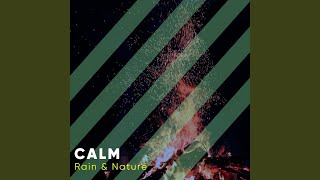 Birds Fly Away YouTube