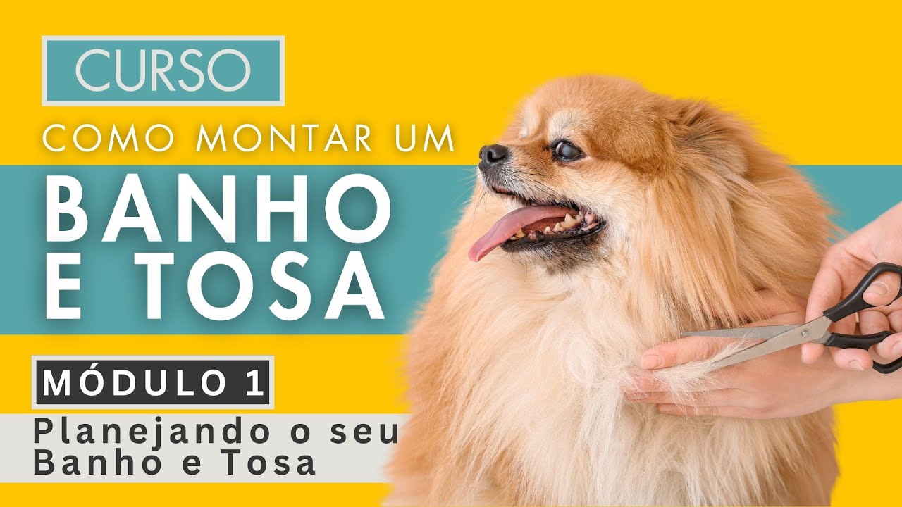 Curso Como Montar um Banho e Tosa - Módulo 1 - Planejando o seu Banho e ...