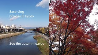 kyoto 2days vlog 🍁