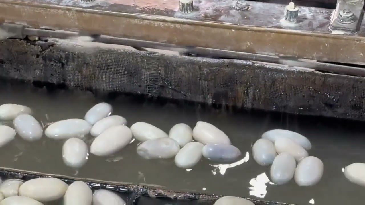 CHINESE COTTAGE SILK REELING MACHINE 2026