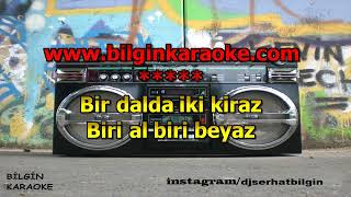 Safiye Soyman - Sallasana (Karaoke) Orjinal Stüdyo