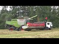 Уборочная 2019: Claas Lexion 770 молотит пшеницу