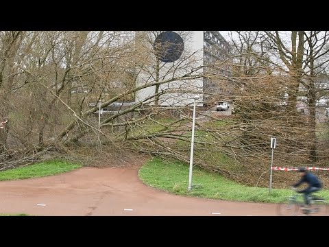 Harde wind zorgt voor schade in Zwijndrecht en Dordrecht - 23/2/2020