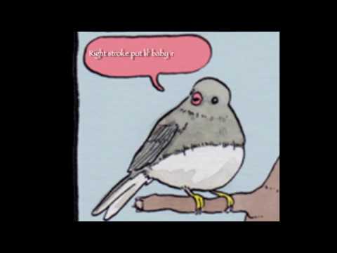 Rapping bird gets annoyed - YouTube