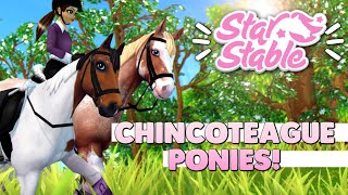 Star Stable - Buying 2 Chincoteague Ponies! 🐴💕