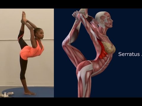 Come Cheerleading Scorpion Anatomia Allunga EasyFlexibility