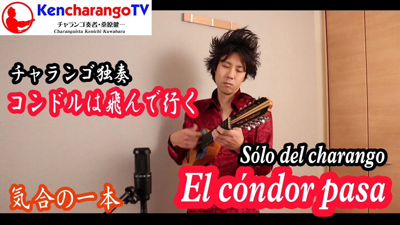 チャランゴ独奏】コンドルは飛んで行く / El cóndor pasa - YouTube