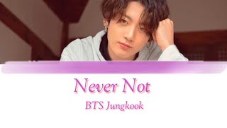 BTS Jungkook - Never Not cover (Lyrics)