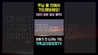 [잠들기 전 드리는 기도] 주님 품 안에서 기도해보세요! @ChristianFaithGrowthTV #shorts #asmr기도문 #깊은기도음악 #잠들기전에드리는기도문