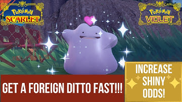 Get a Foreign Ditto FAST for Masuda Method! Pokemon Scarlet and Violet