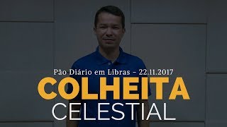 Colheita celestial