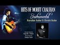 "Hits Of Mohit Chauhan" Instrumental Songs || Hawaiian Guitar, Electric Guitar ||