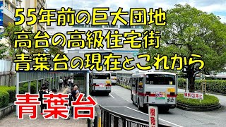 【青葉台】迷宮のニュータウン 高級住宅街と限界団地が共存する横浜青葉台の現在とこれから