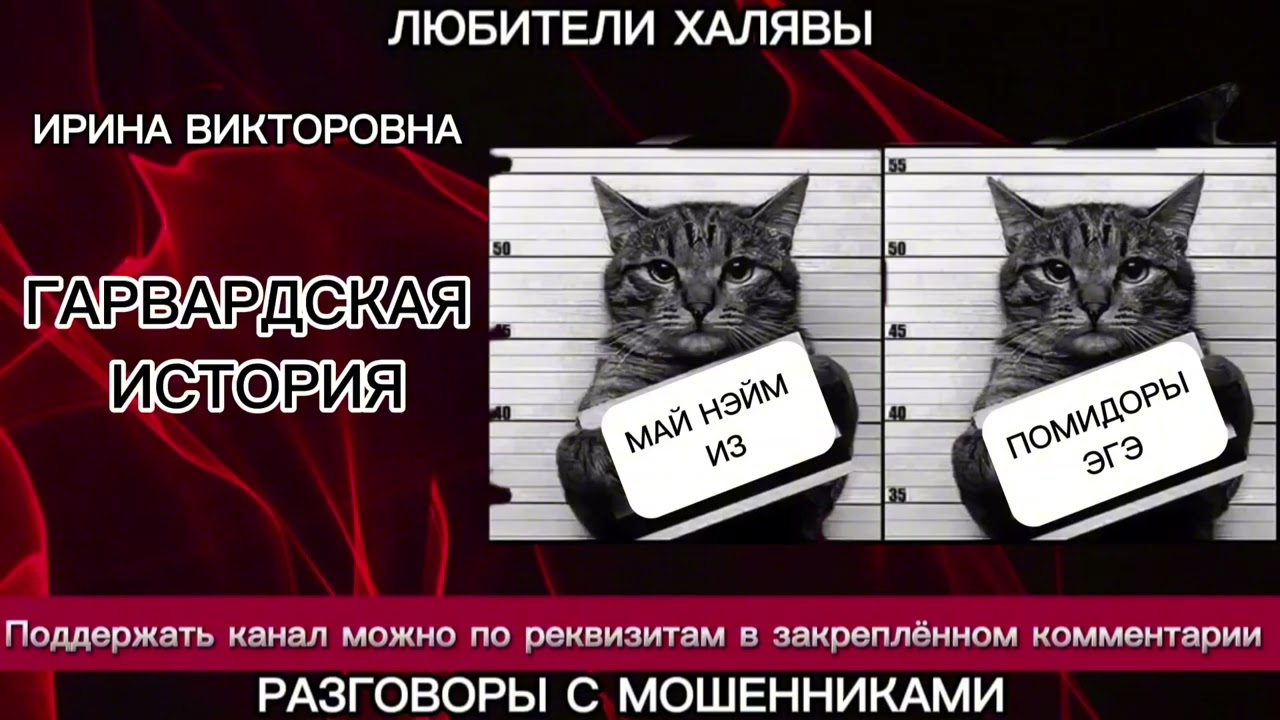 ИРИНА ВИКТОРОВНА. ГАРВАРДСКАЯ ИСТОРИЯ | ТЕЛЕФОННЫЕ МОШЕННИКИ