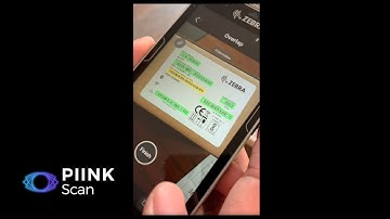 PIINK Scan : Multiple barcode reading with camera