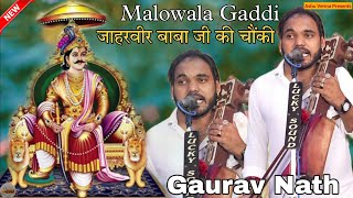 मालोवाला गद्दी में जाहरवीर बाबा जी की चौंकी l Gaurav Nath & Party l Devraj Bhagat Ji Malowala Gaddi