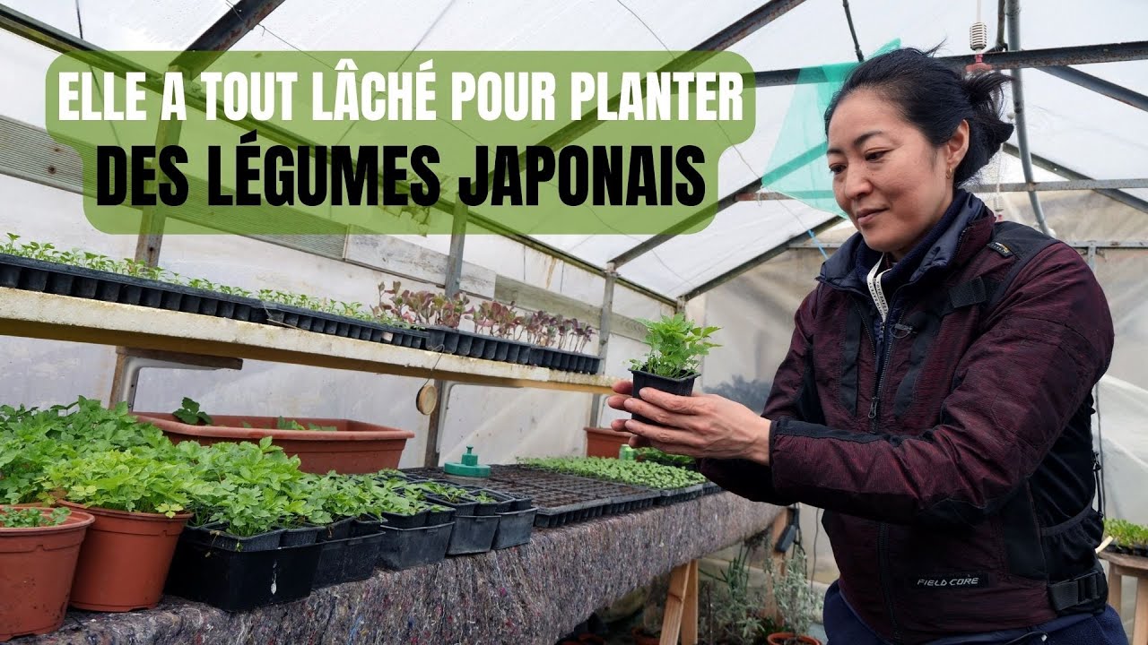 Anna Shoji a tout lâché pour planter des légumes japonais en Touraine