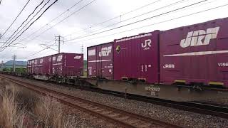 EF210-106(桃太郎・クロスパンタ・新塗装) さくらコンテナ1個積載