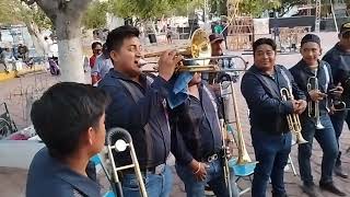 Santo Domingo Tonahuixtla estuvo de fiesta, feria anual 2024. banda de COSOLTEPEC OAXACA