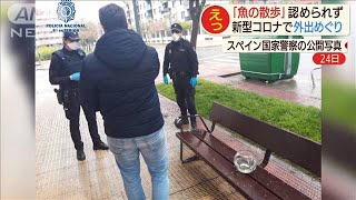 「魚の散歩」は“ペットと外出”に非ず　罰金科す(20/04/27)