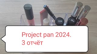 Project pan 2024. 3 отчёт.