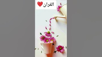 #عبدالرحمن_مسعد_تلاوة_جديدة #عبدالرحمن_مسعد #اكسبلور #المصحف #_القران #دويتو #الرحمن