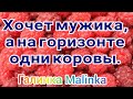 Деревенский дневник очень многодетной мамы /Хочет мужика, а на горизонте одни коровы /Обзор /