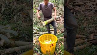 This boy uncovered a treasure by cutting bamboo .#shorts