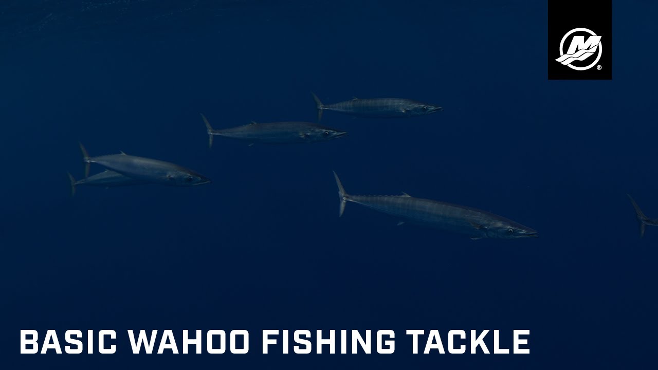 Wahoo Fishing – Slow Trolling with Mike Dupree