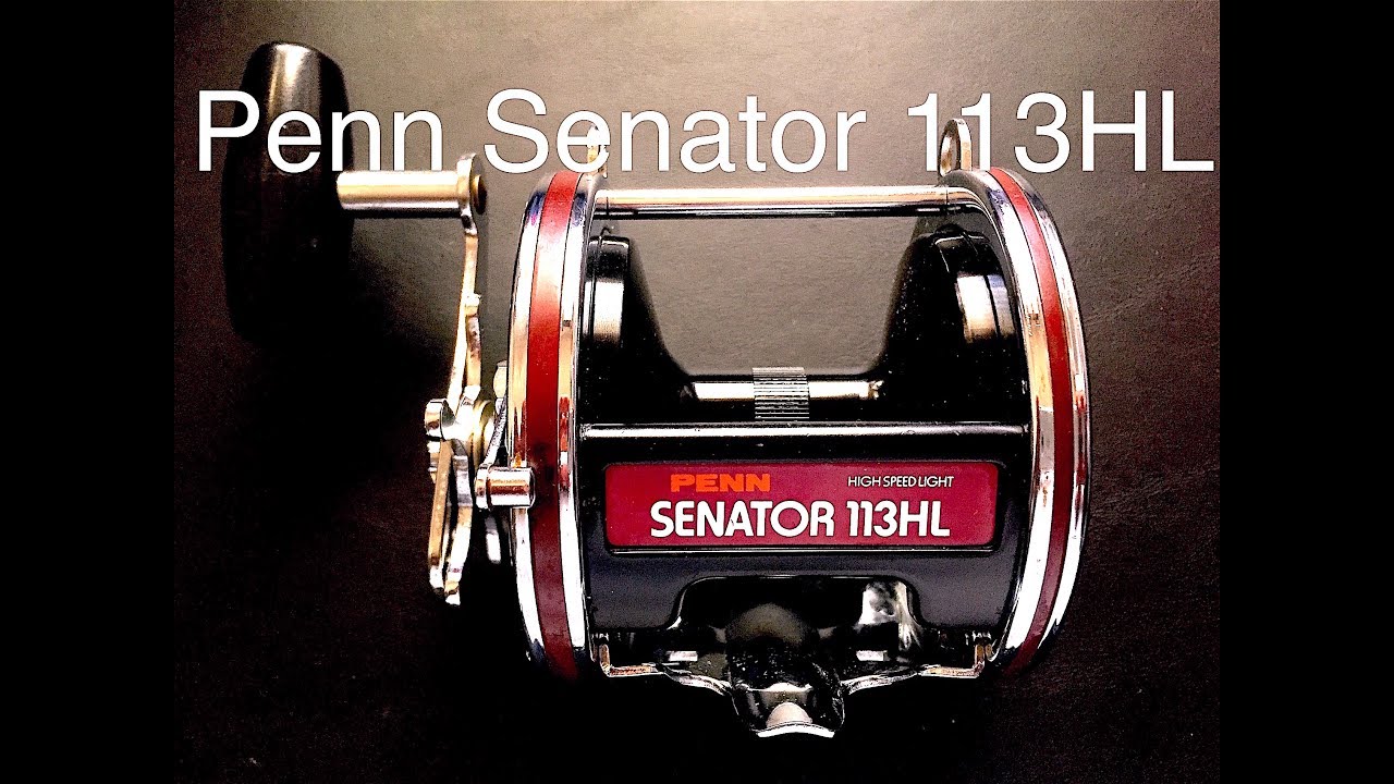 Penn Special Senator Star Drag Conventional Reels - Boat - 113H2LW