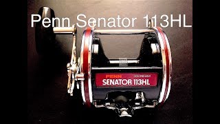 Penn Senator 113HL Conventional Reel! 