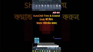 AS-44/AutoCAD Trim and Extend Command Switch with Shift Key.#AutoCAD #TrimCommand #ExtendCommand