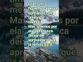 Gratidão em Movimento #motivacional #fyp #rotinadodia #foco #shortsviral #shorts #ccb #deuséfiel
