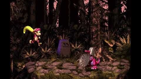 "Donkey Kong Country 3: Dixie Kong