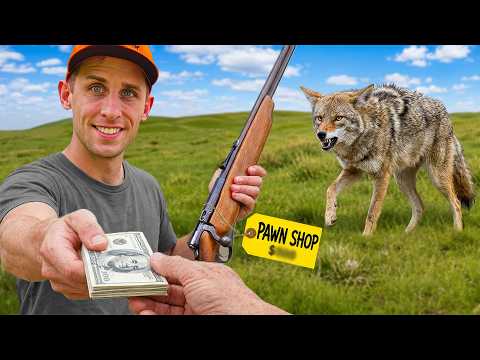 $500 Pawn Shop Hunting Challenge!